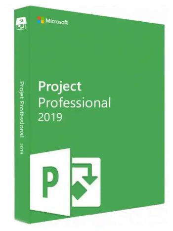 MICROSOFT PROJECT PROFESSIONAL 2019